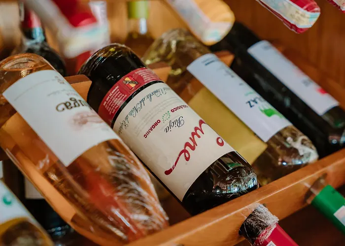 Venezia Cruises 下龍