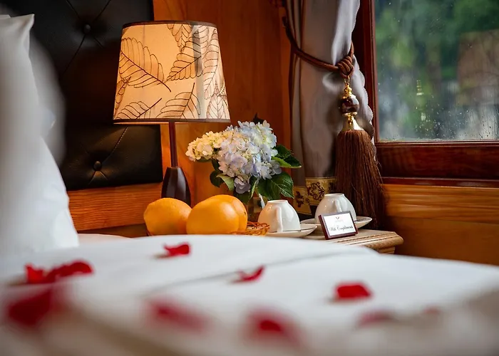 Venezia Cruises 4*