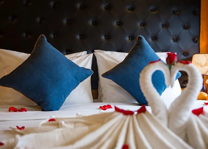 Venezia Cruises  4*